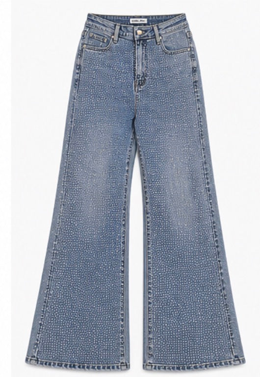 Light Blue full Stone Embellished Jeans