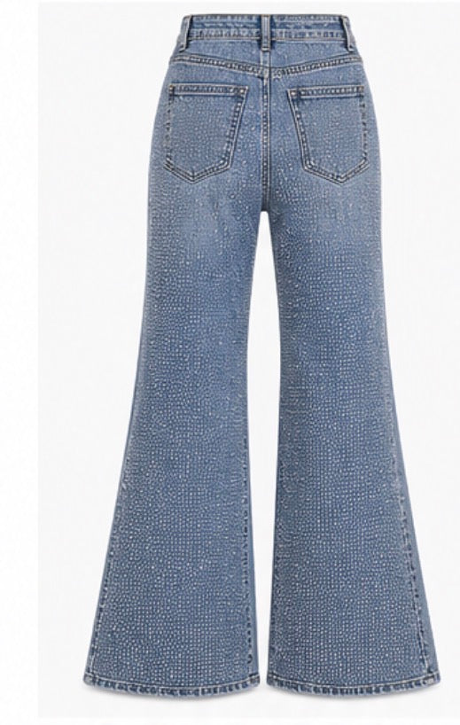 Light Blue full Stone Embellished Jeans
