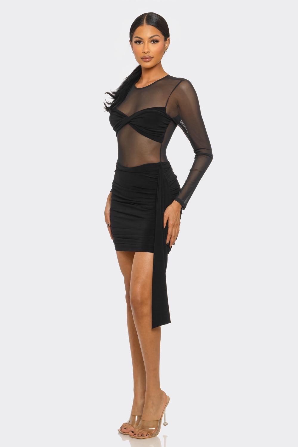 Insatiable Long Sleeve Mesh Minidress